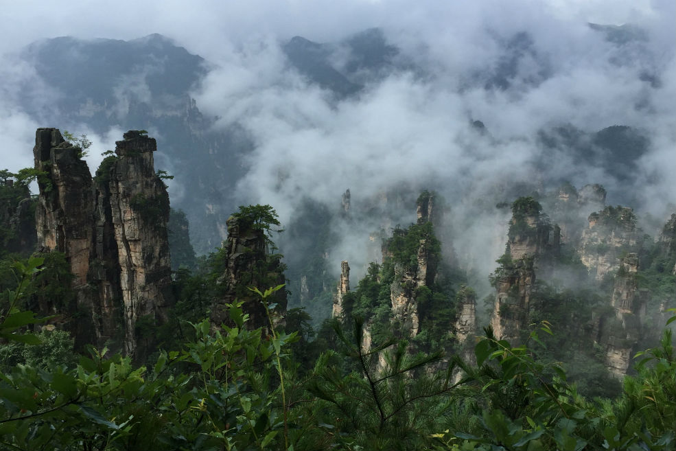 1 Day Avatar Tour in Zhanjiajie